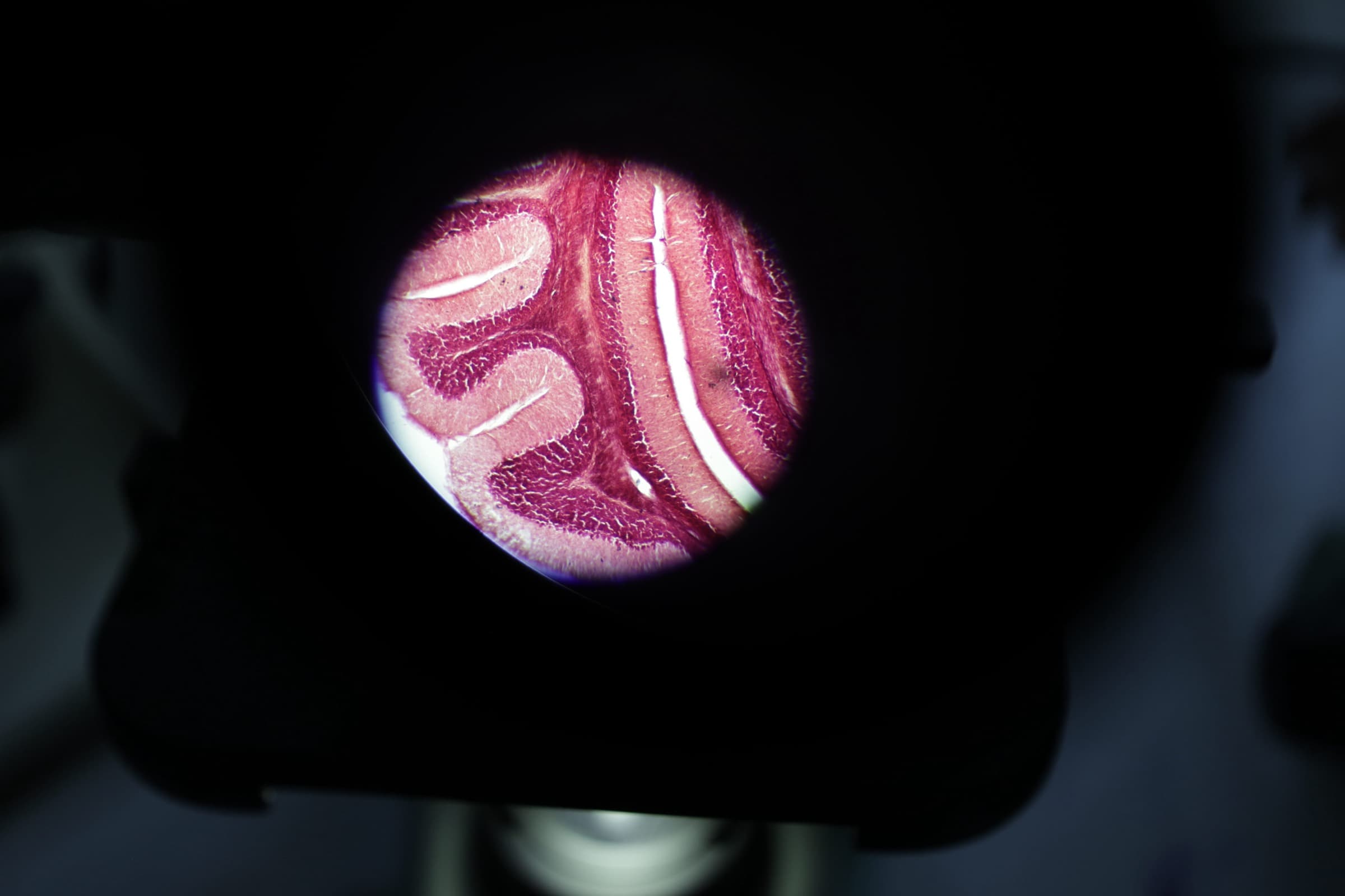 Open Day 2026 — ENSEMBLES