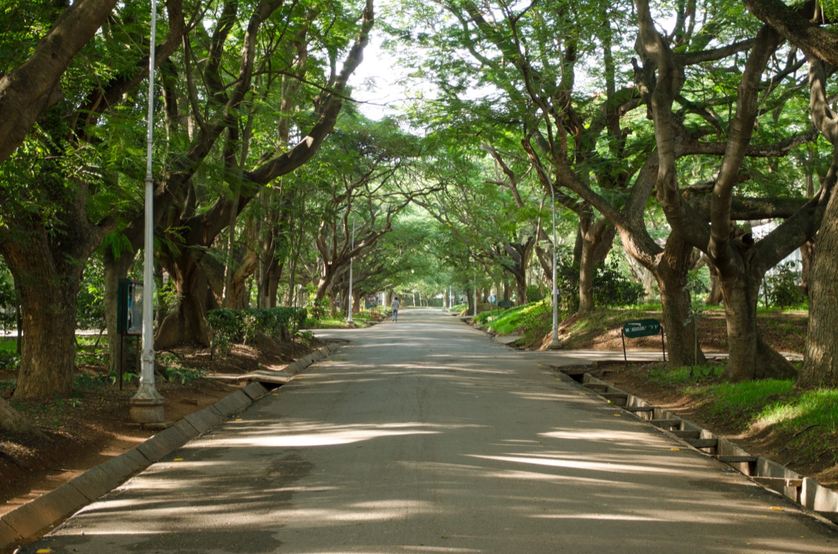 Campus Life 1