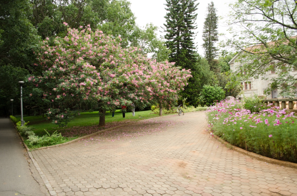 Campus Life 4